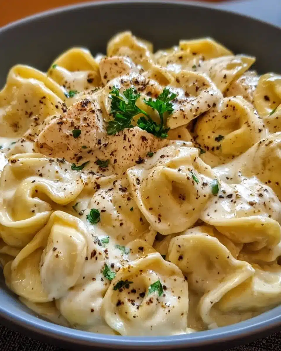 Creamy Crockpot Chicken Alfredo Tortellini in a bowl