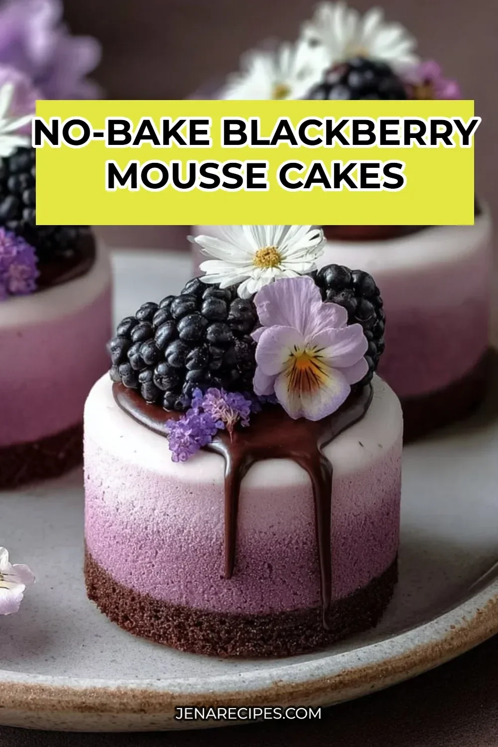 Delicious no-bake blackberry mousse cakes served on a white plate