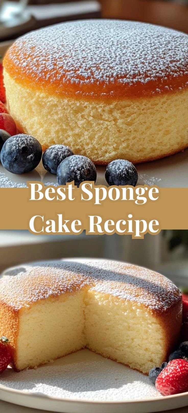Fluffy Sponge Cake Recipe