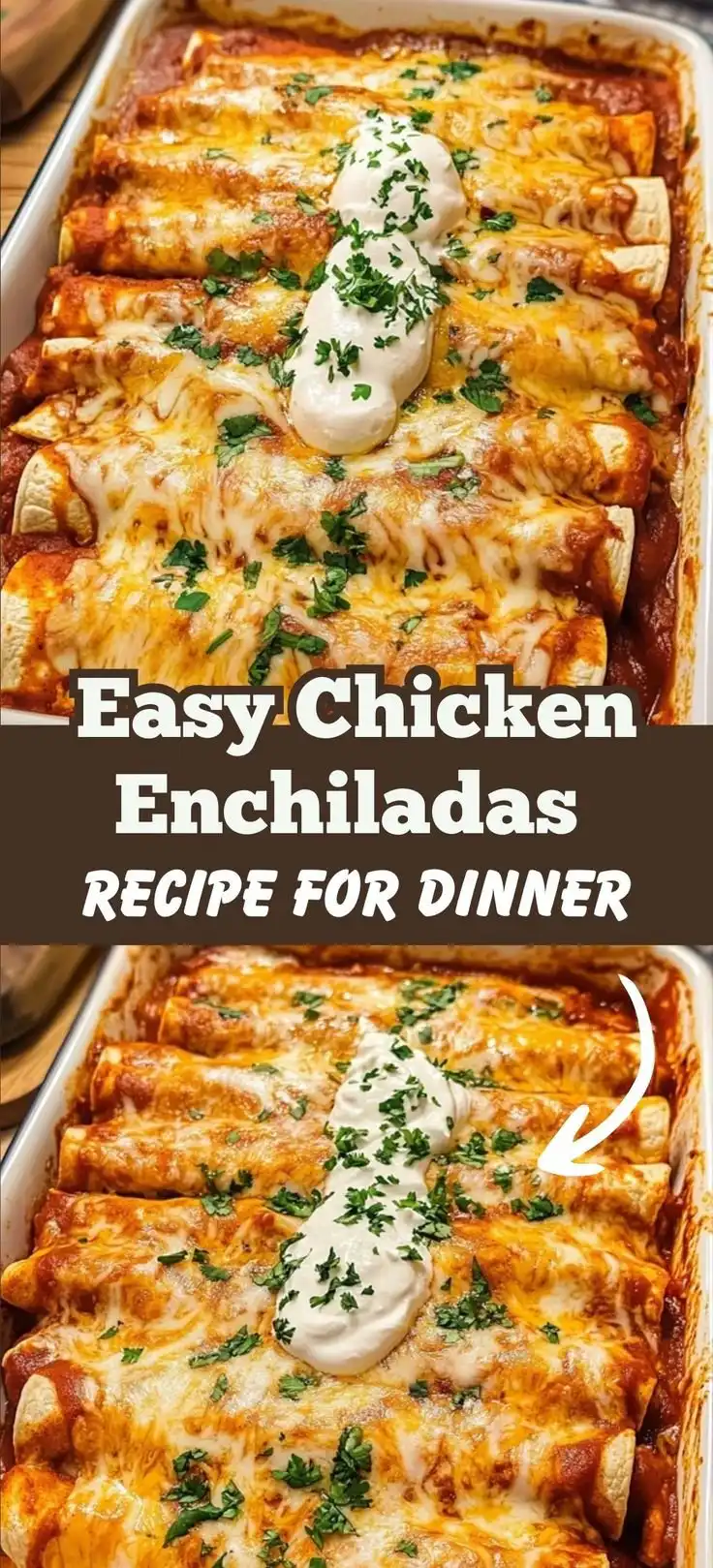 Ultimate Quick and Easy Chicken Enchiladas
