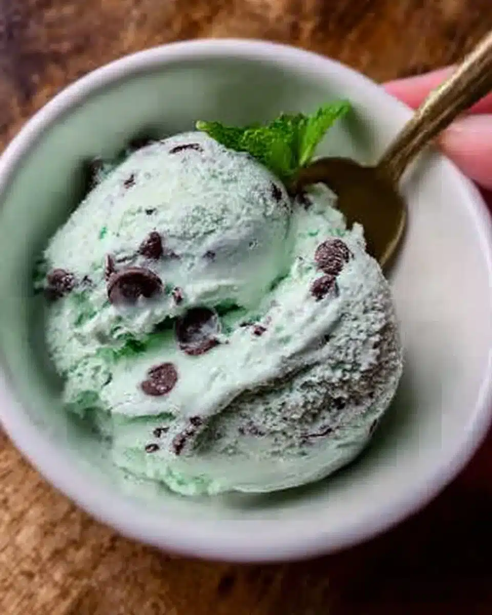 Ninja Creami mint chocolate chip protein ice cream served in a bowl